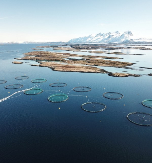 COVID-19 – The impact on Norwegian seafood trade and coastal communities