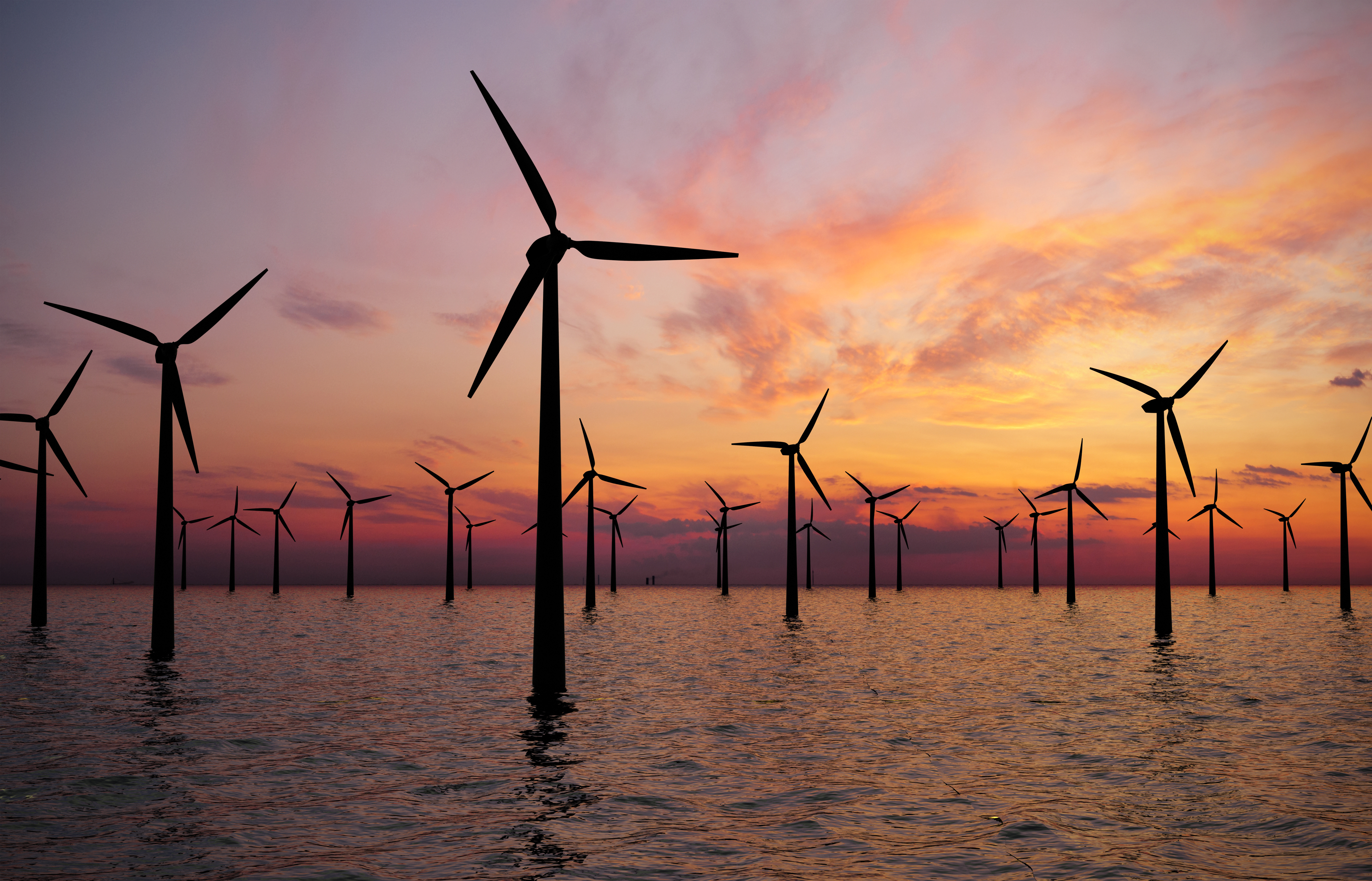 Offshore vindmøllepark. Foto: Shutterstock