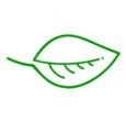 A leaf - logo of the research project Digifren