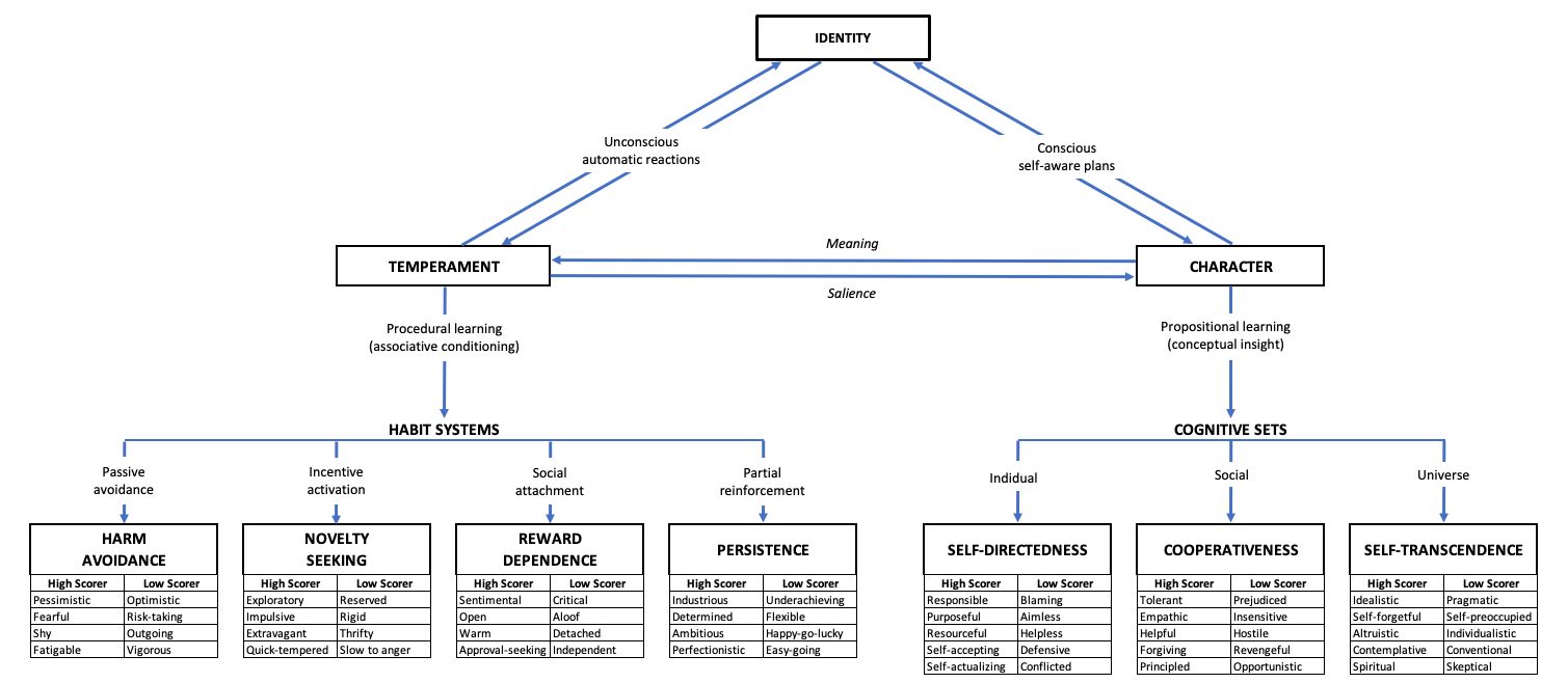 Cloninger’s Biopsychosocial Model of Temperament and Character 