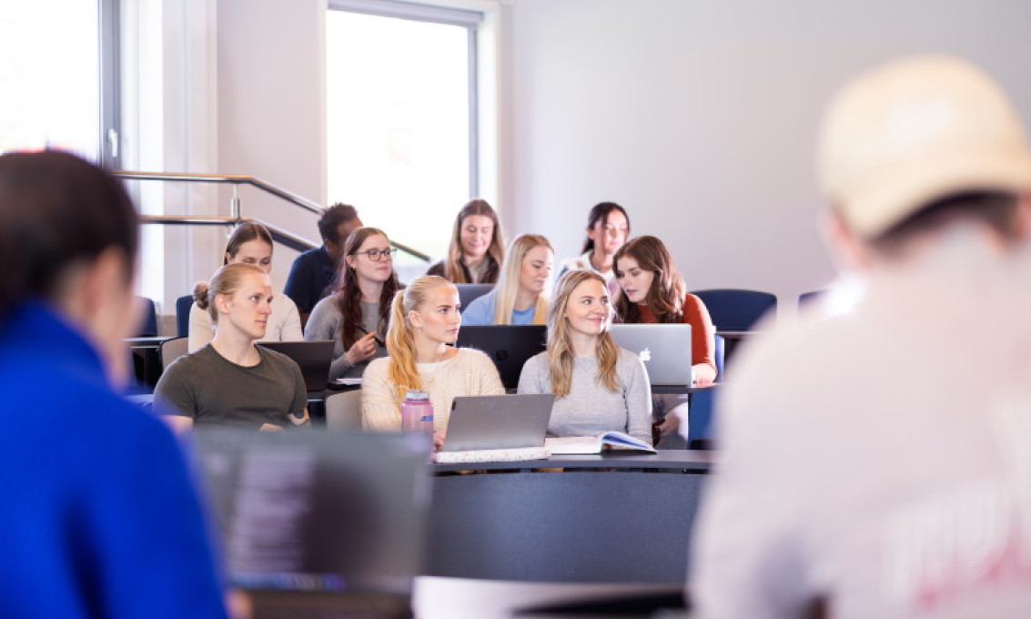 Årsstudium i statsvitenskap