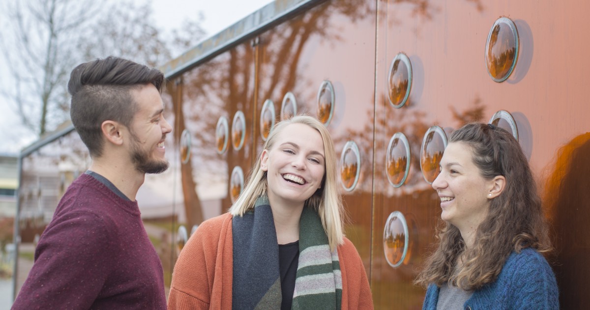 Norsk Språk, Kultur Og Samfunnskunnskap For Internasjonale Studenter ...