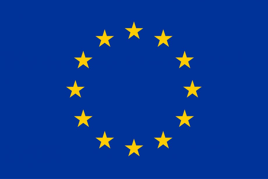 EU-flagget i blått med tolv gule stjerner.