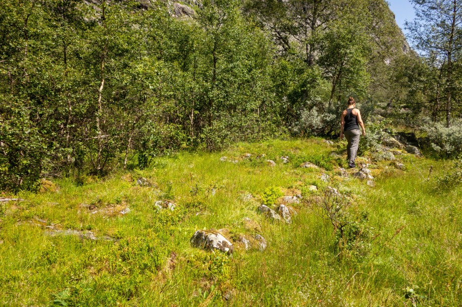 Fig. 5. Avlang tuft på Hejen, trolig oppdelt i to rom og med tufta av et uthus like ved. Foto: Andreas Holkestad Sunde