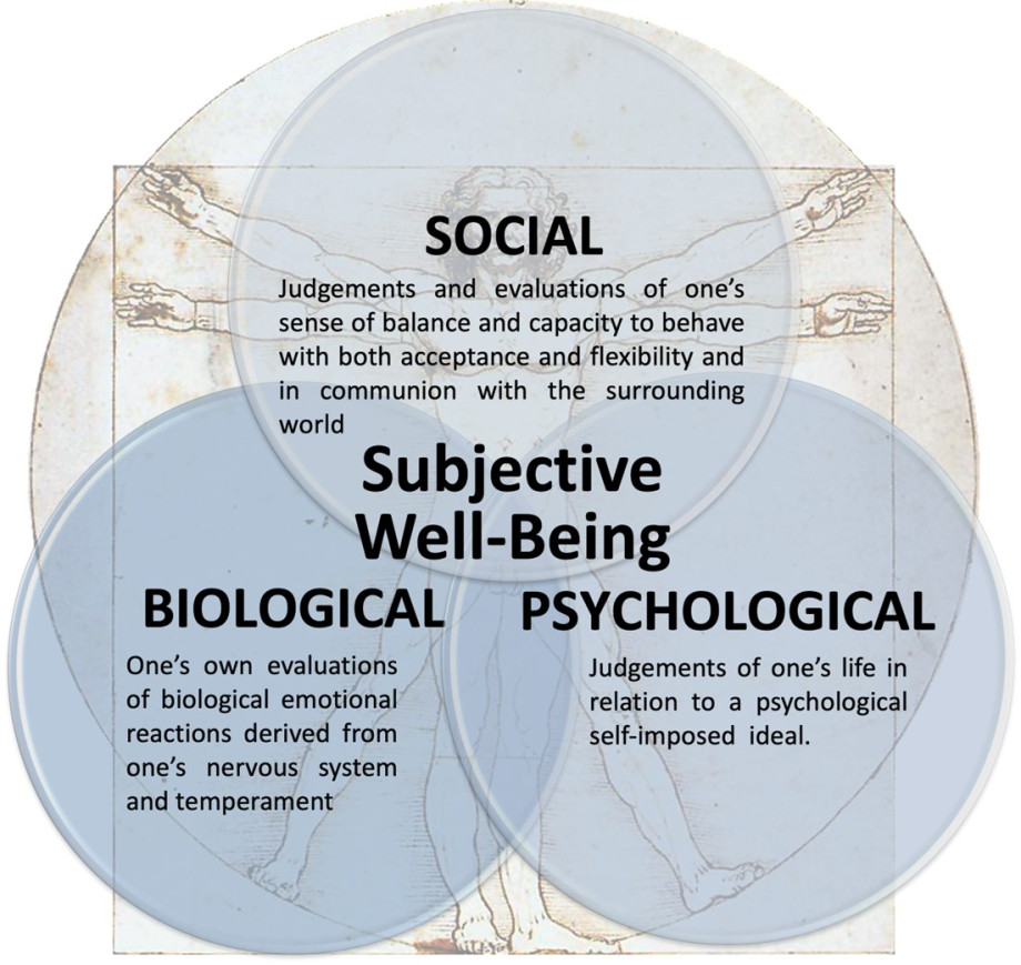 An illustration of Biopsychosocial Model of Subjective Well-Being as a tridimensional construct