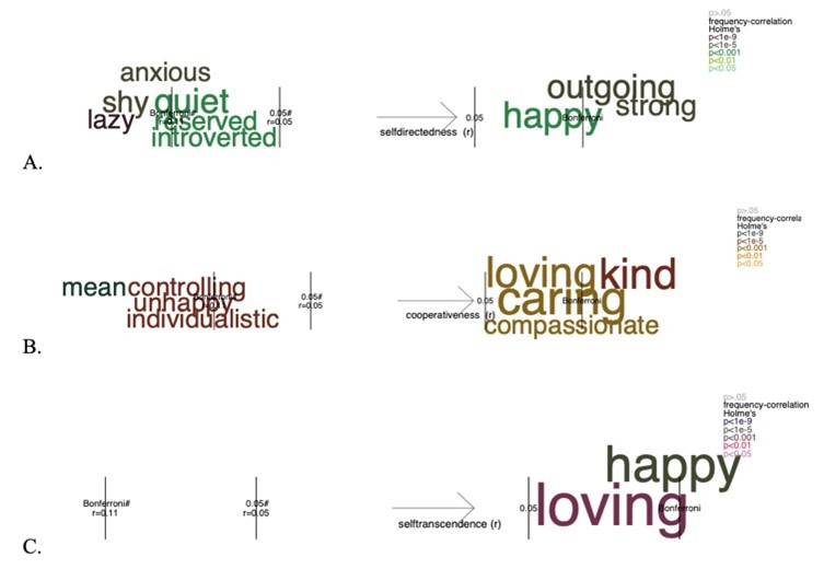 Illustration of Professor Cloninger’s biopsychosocial model of personality