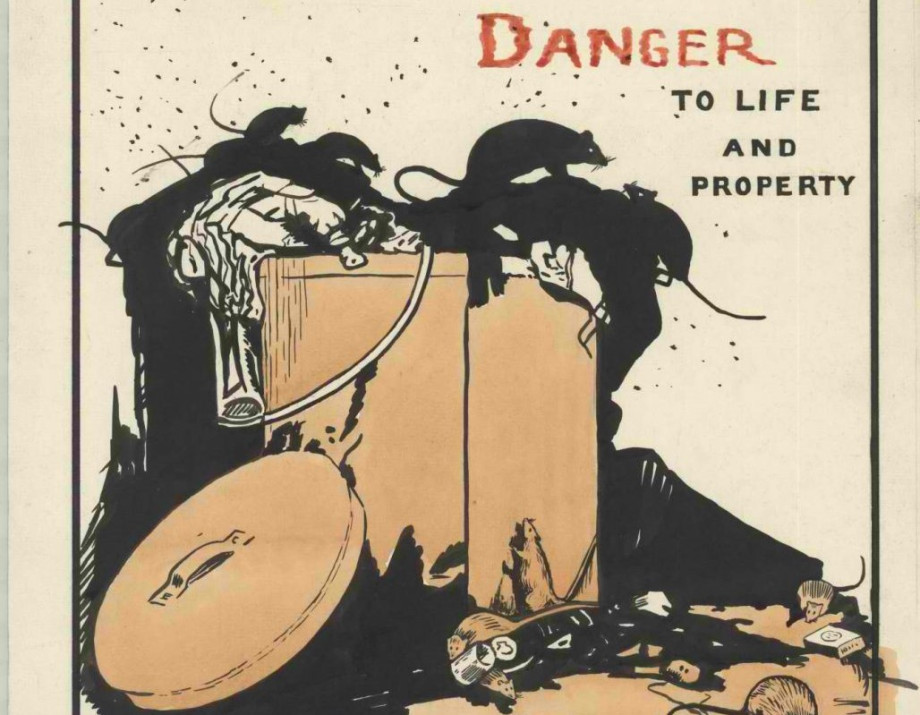 A pile of rubbish and a rubbish bin with rats on it. The image is captioned "Danger to life and property"