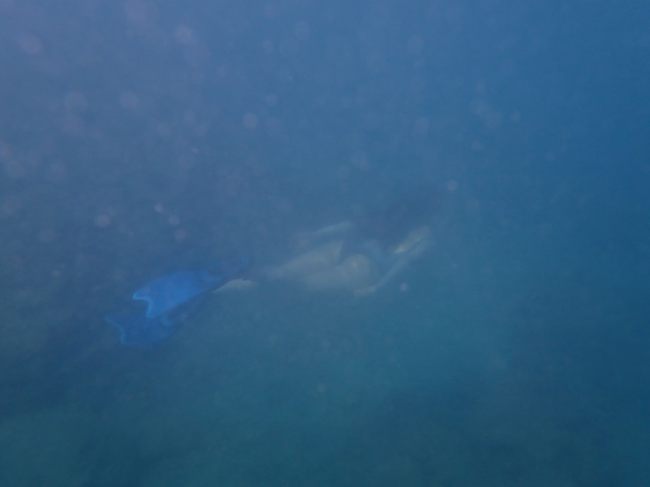 A picture taken under water shows shades of blue and some bubbles intersperse the water. In the center of the image is the silhouette of a white woman swimming away from the camera. 