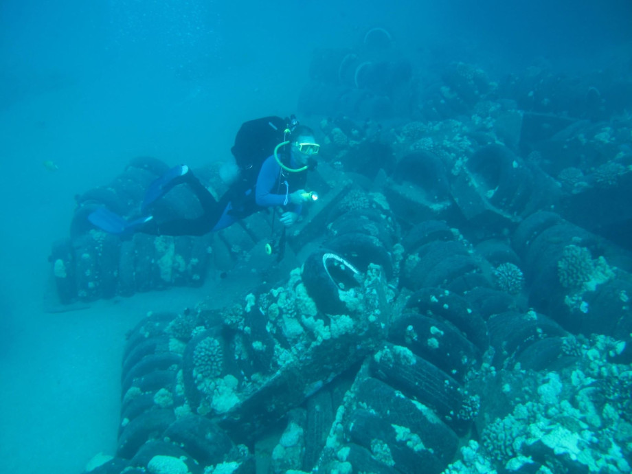 A diver is gliding above an artificial reef composed of numerous stacked and scattered tires on the ocean floor.